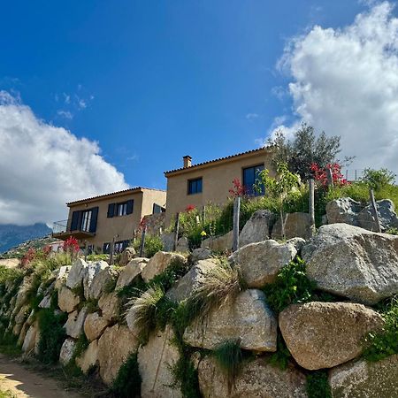 Bella Vita Calenzana Exterior photo